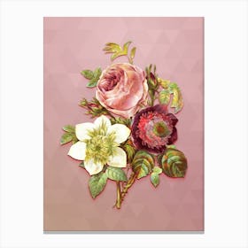 Vintage Anemone Rose Botanical Art on Crystal Rose n.1061 Canvas Print