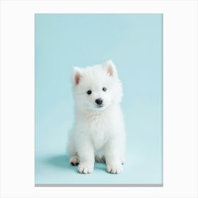 White Puppy On A Blue Background. Generated AI. Art Print Canvas Print