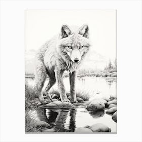 Arctic Fox Reflection Pencil Drawing 1 Canvas Print