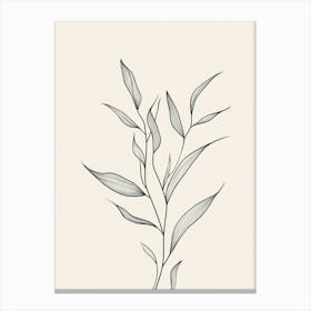 Eucalyptus 3 Canvas Print