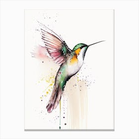 White Eared Hummingbird Minimalist Watercolour Canvas Print