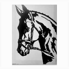 horse power (balck and white horse) Canvas Print