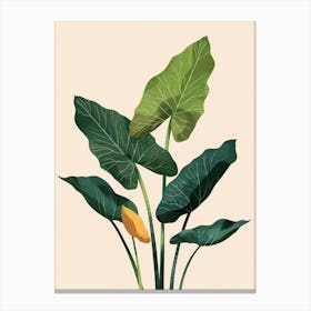 Elephant Ear Plant Minimalist Illustration 3 Canvas Print