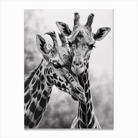 Two Giraffe Together Pencil Drawing 1 Canvas Print