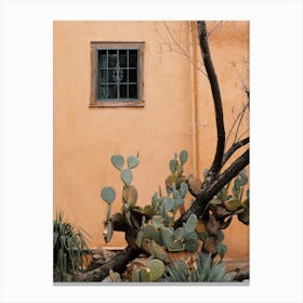 Cactus Along House Canvas Print