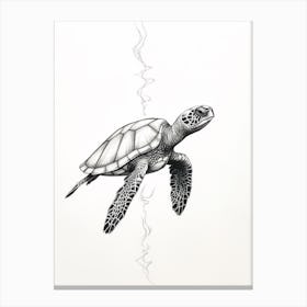Realistic Minimalist Sea Turtle Line Illustration 2 Canvas Print