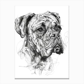 Boxer Dog Line Sketch 1 Canvas Print
