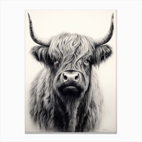 Details Black & White Illustration Of Highland Cow Canvas Print