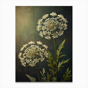 Two Flowers On A Dark Background Canvas Print