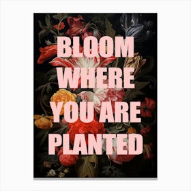 Bloom Where You Are Planted Canvas Print