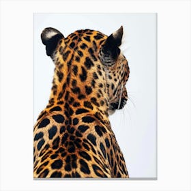 Leopard - Close Up 3 Canvas Print