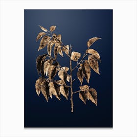 Gold Botanical Common Hackberry on Midnight Navy n.2513 Canvas Print