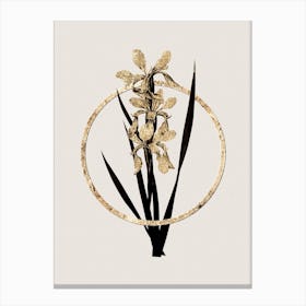Gold Ring Yellow Banded Iris Glitter Botanical Illustration Canvas Print