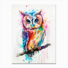 Owl Colourful Watercolour 3 Canvas Print
