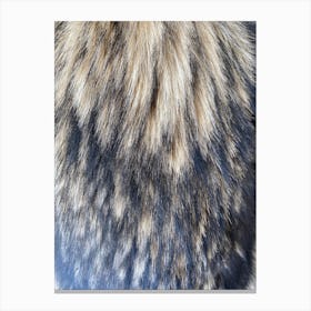 Furry Furry Furry Canvas Print