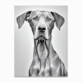 Weimaraner B&W Pencil dog Canvas Print