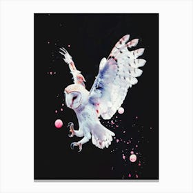 Barn Owl 2 Canvas Print