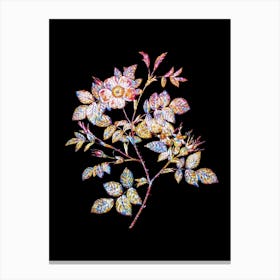 Stained Glass Malmedy Rose Mosaic Botanical Illustration on Black n.0355 Canvas Print