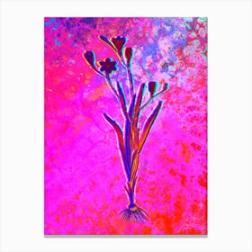 Ixia Bulbifera Botanical in Acid Neon Pink Green and Blue n.0081 Canvas Print