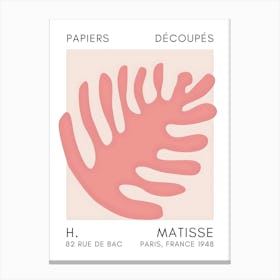 H Matisse 35 Canvas Print