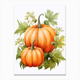 Lumina Pumpkin Watercolour Illustration 1 Canvas Print