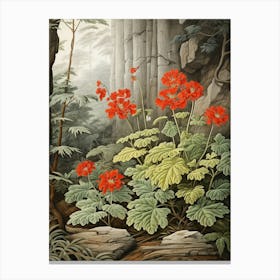 Vintage Jungle Botanical Illustration Jungle Geranium 3 Canvas Print