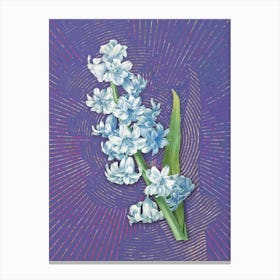 Vintage Oriental Hyacinth Botanical Illustration on Veri Peri Canvas Print