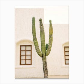 Cactus 2 Canvas Print