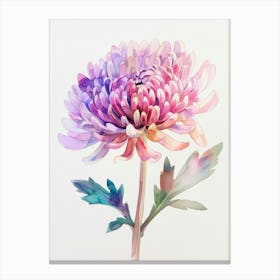 Watercolor Chrysanthemum Canvas Print