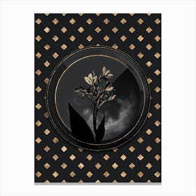 Shadowy Vintage Water Canna Botanical in Black and Gold n.0098 Canvas Print
