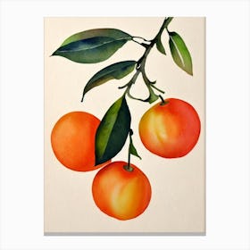 Orange Watercolour Fruit Painting Fruit Canvas Print