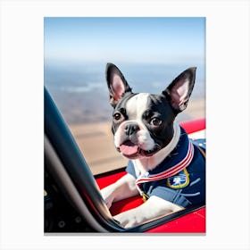 Boston Terrier In A Plane-Reimagined Canvas Print