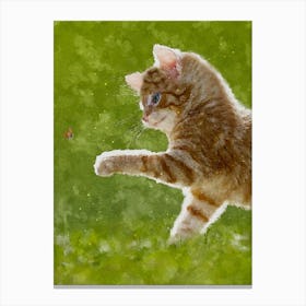 Cat Naughty Canvas Print