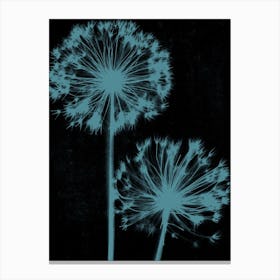 Black teal alliums Canvas Print