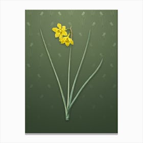 Vintage Narcissus Odorus Botanical on Lunar Green Pattern n.1971 Canvas Print