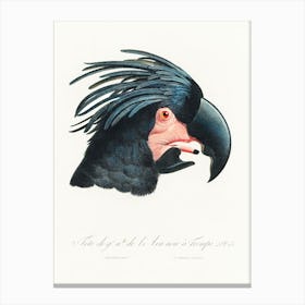 The Great Black Cockatoo, (Probosciger Aterrimus) From Natural History Of Parrots, Francois Levaillant Canvas Print