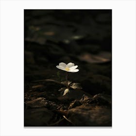 White Flower 26 Canvas Print