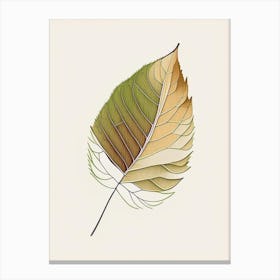 Birch Leaf Warm Tones Canvas Print