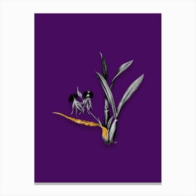 Vintage Clamshell Orchid Black and White Gold Leaf Floral Art on Deep Violet n.0612 Canvas Print