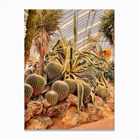 Cacti In Captivity Canvas Print