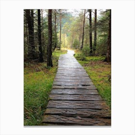 Wooden Path In The Woods Canvas Print