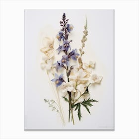 Pressed Flower Botanical Art Veronica Flower 2 Canvas Print