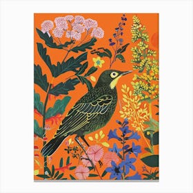 Spring Birds Cuckoo 1 Canvas Print