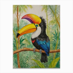 Toucan 24 Canvas Print