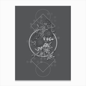 Vintage White Burnet Roses Botanical with Line Motif and Dot Pattern in Ghost Gray Canvas Print