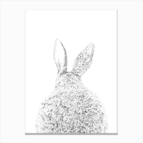 Bunny Tail Animal Print 1 Canvas Print