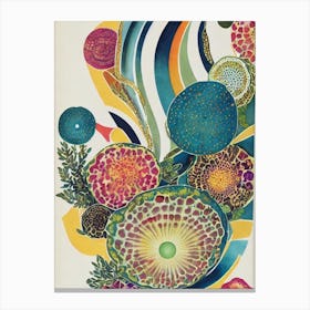 Acanthastrea Vintage Graphic Watercolour Canvas Print