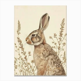 Cinnamon Rabbit Drawing 2 Canvas Print