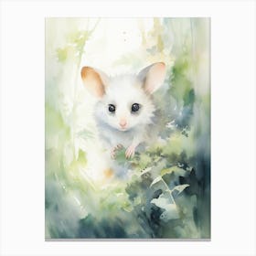 Light Watercolor Painting Of A Hidden Possum 3 Canvas Print