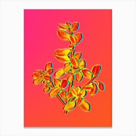 Neon Italian Buckthorn Botanical in Hot Pink and Electric Blue n.0586 Canvas Print